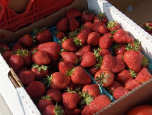 Locally grown strawberries