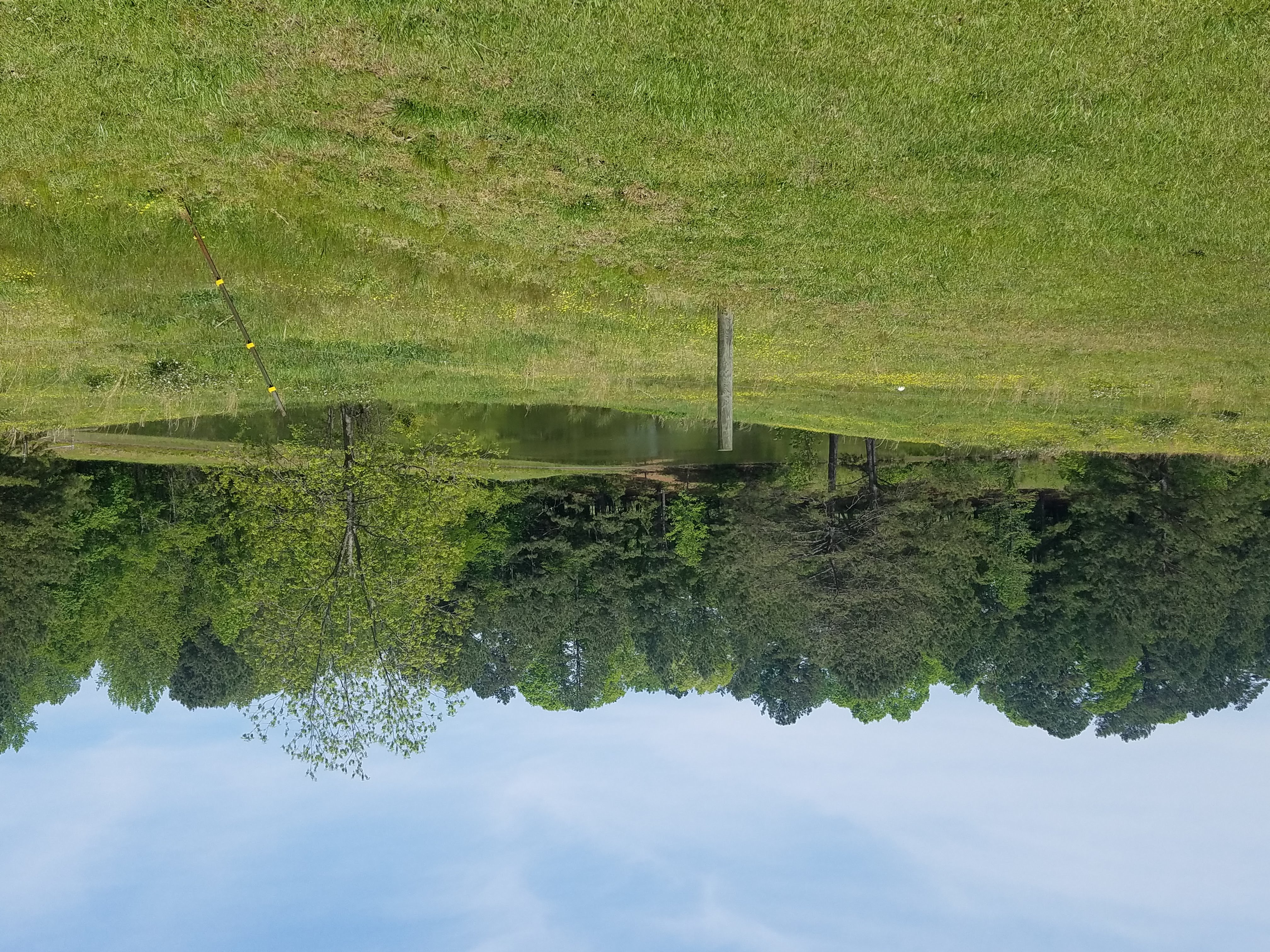 photo of a pond