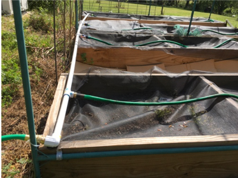 Irrigation in raised beds
