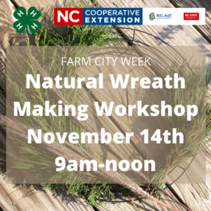 natural wreath making workshop november 14 9amtnoon