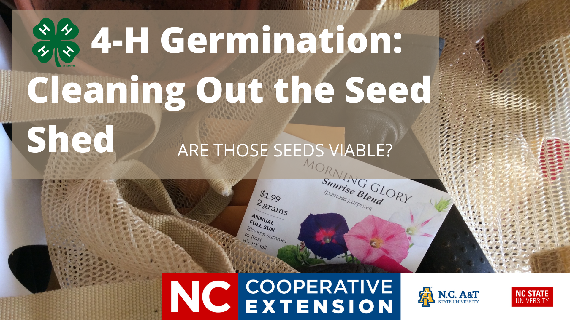 4-H germination cleaning out the seed shed are those seeds viable