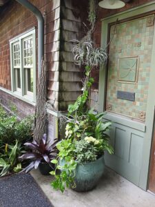 Cover photo for A Bit of Ground Gardening in Small Spaces