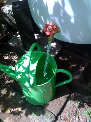 Water spigot filling watering can