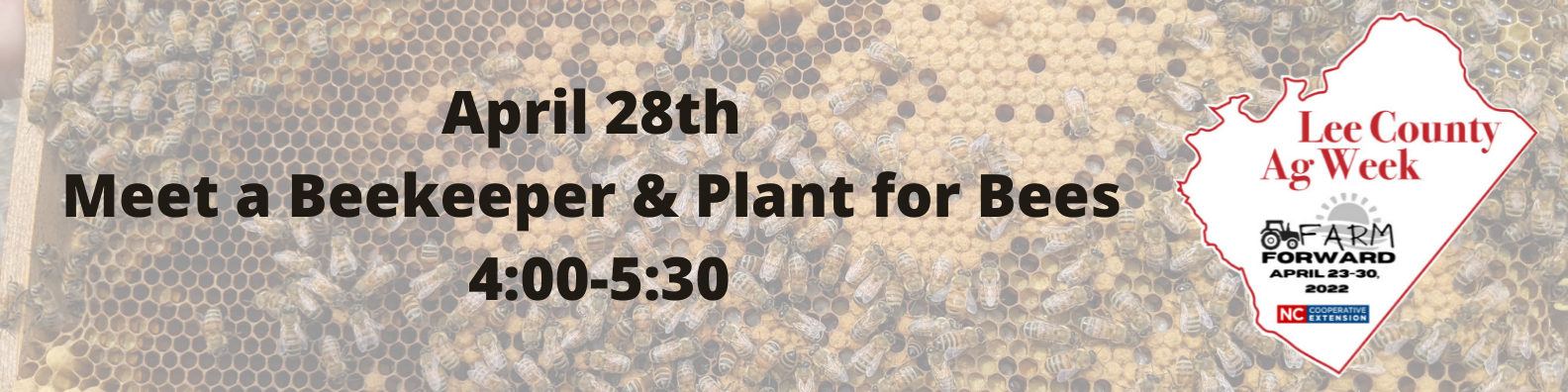 plant for bees april 28th