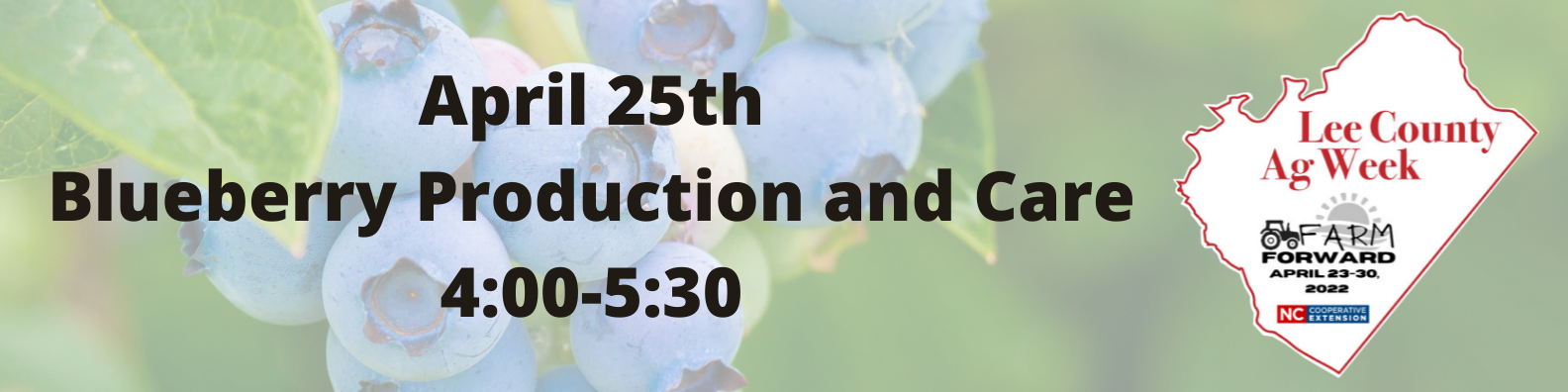 blueberry production and care april 25