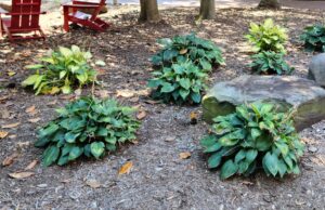 Colors of Changing Climate