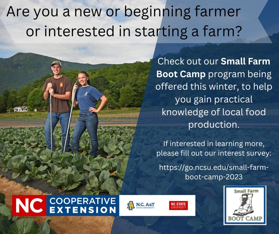 Two young farmers in a field of collards and information on our new Small Farm Boot Camp program being offered this winter with a link to the interest survey. 