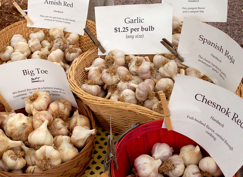 Garlic  Piedmont Master Gardeners