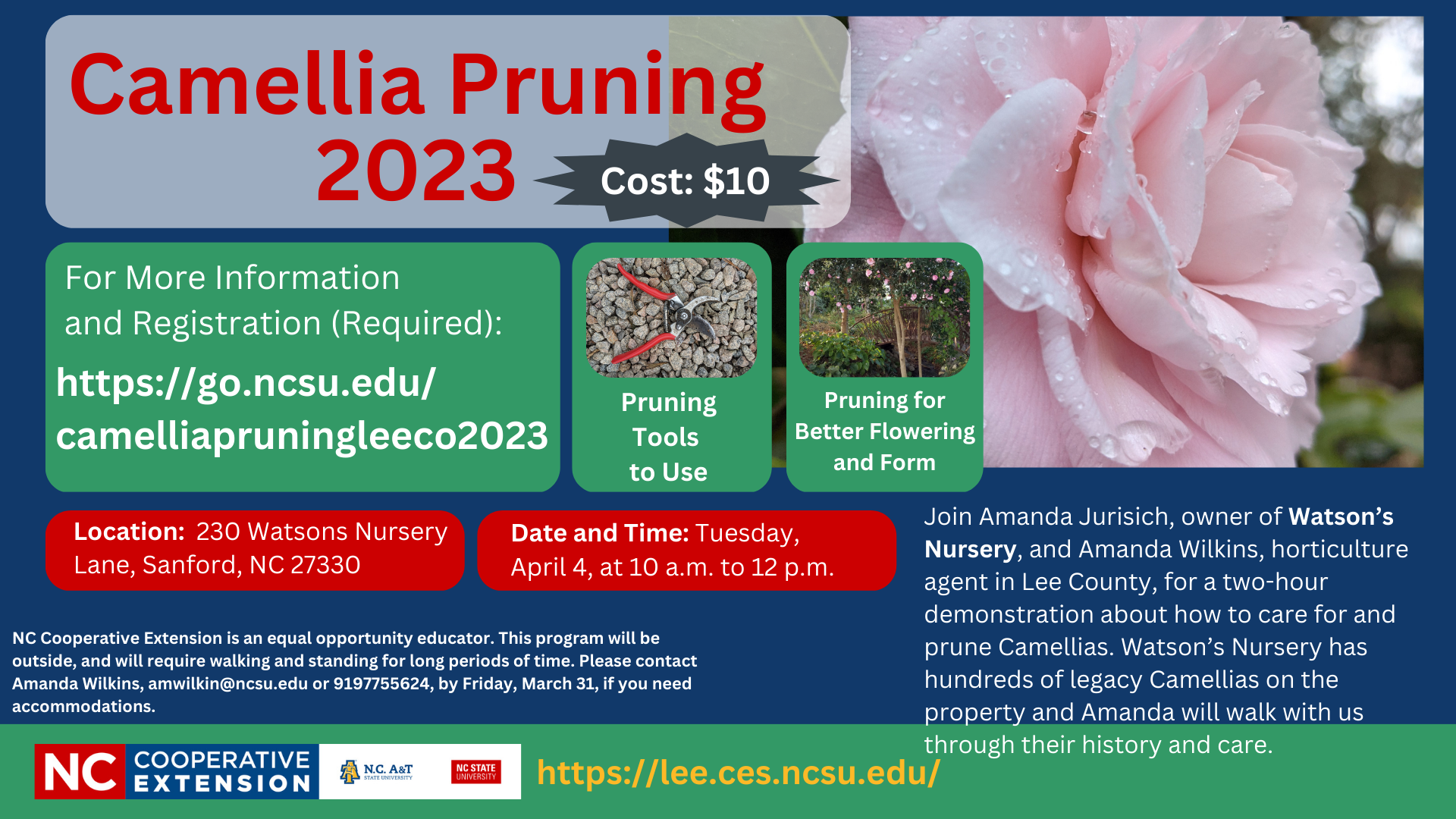 Camellia pruning demonstration poster