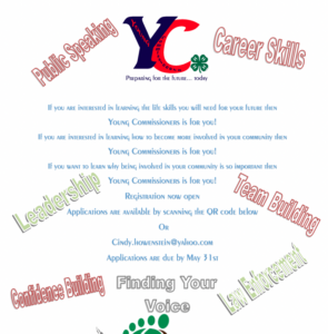 YC Summer Program Flyer