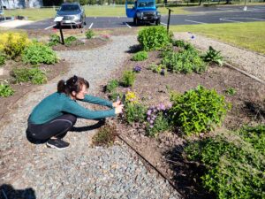 Gardeners are Scientist