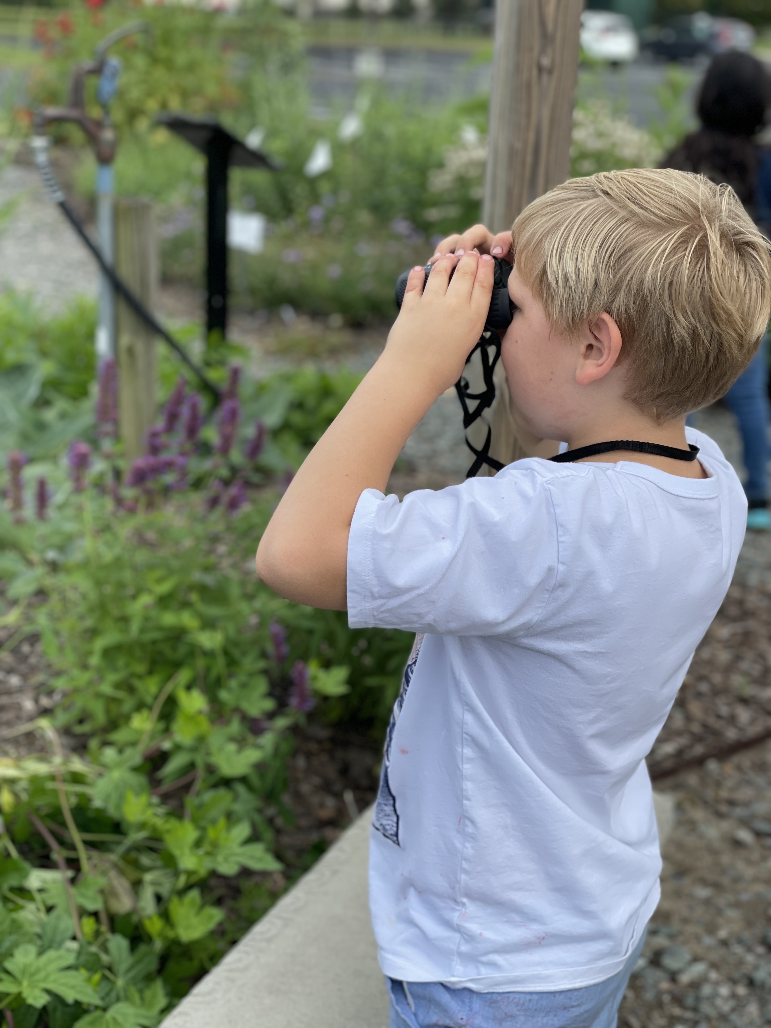 Student with binoculars in the Pollinator Haven Garden