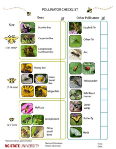 Pollinator Checklist Datasheet, Mata, et al. 2019
