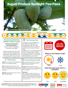 August Produce Spotlight: Paw Paws