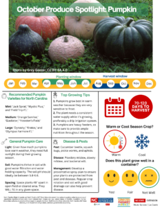 October Produce Spotlight: Pumpkin