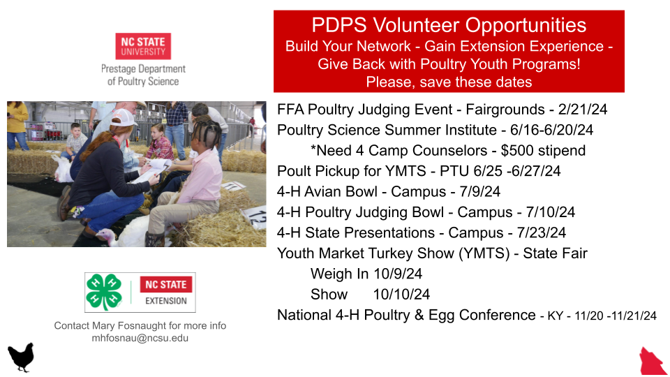 poultry opportunity flyer