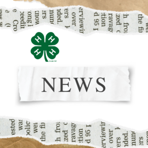 News and clover