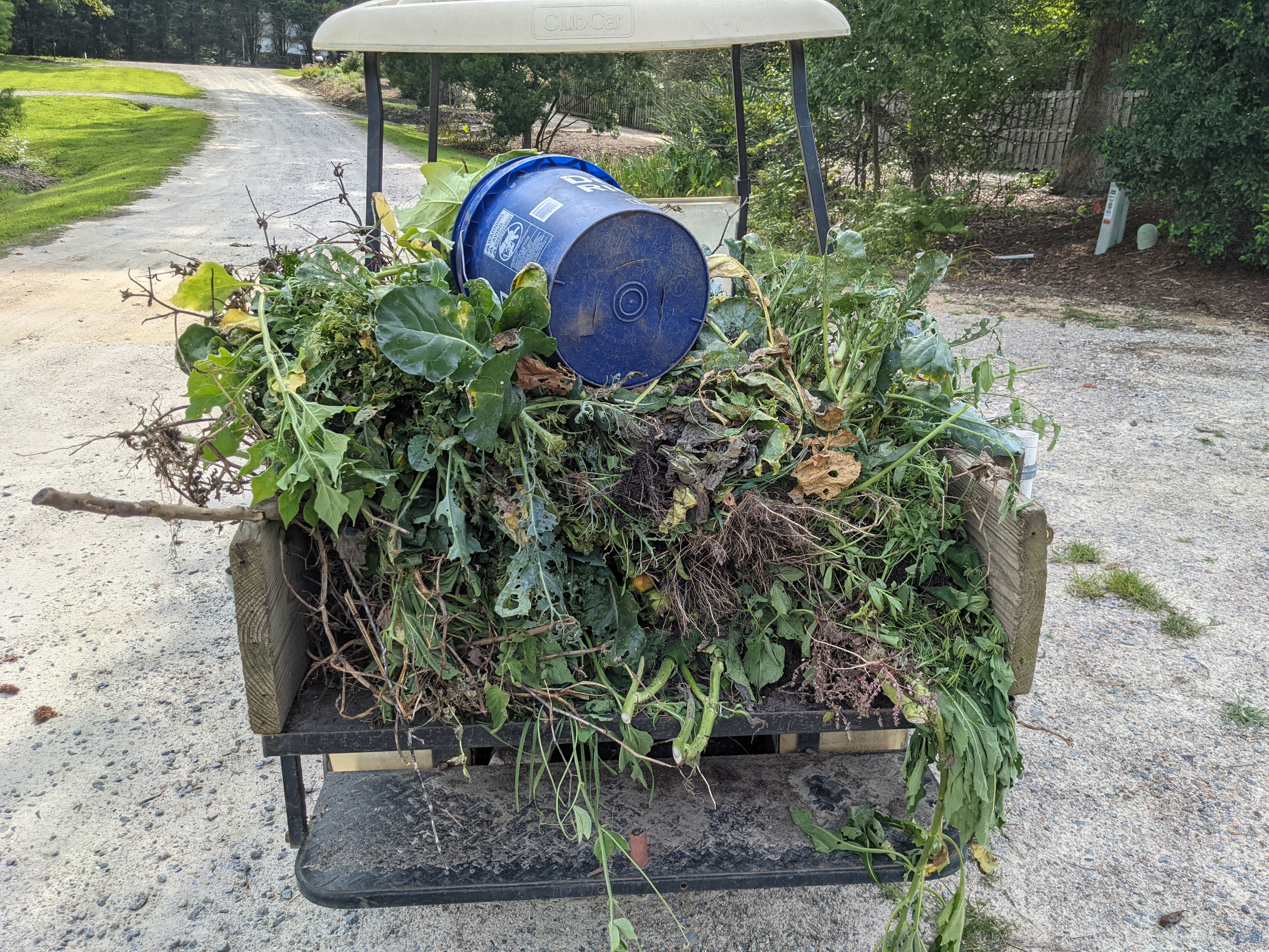 pile of plant debris_AMB