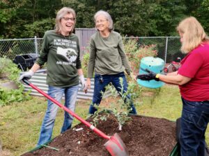 fall planting_Photo by Amanda Bratcher