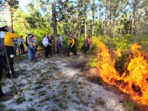 burn boss_forest her controlled burn_Photo by Amanda Bratcher-min