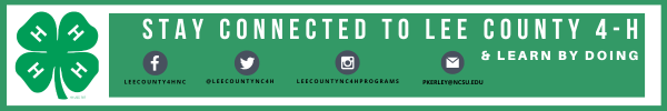 connect with lee county