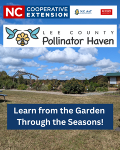 Cover photo for Sign Up for a Guided Tour of the Pollinator Haven Garden