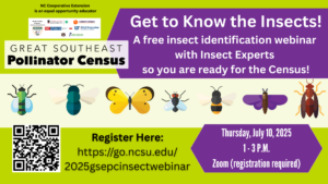 Cover photo for Insect Identification Webinar Is Set to Help You Count in the Great Southeast Pollinator Census