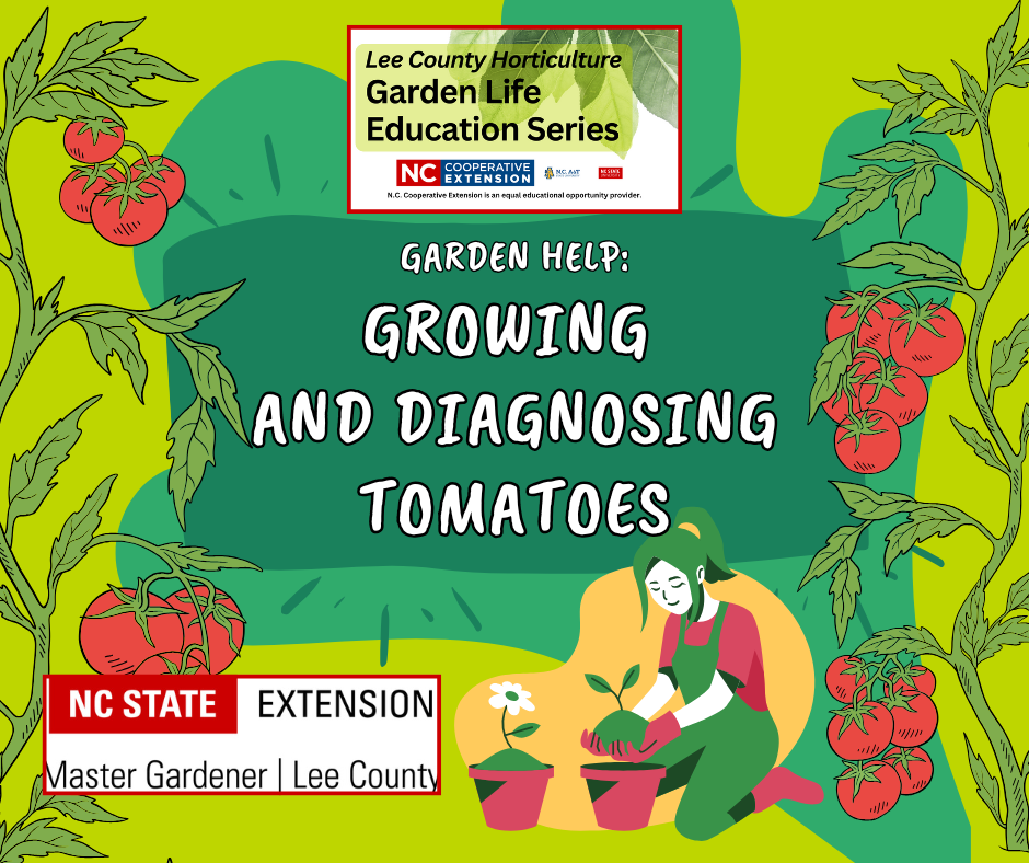 growing and diagnosing tomatoes decorative graphic