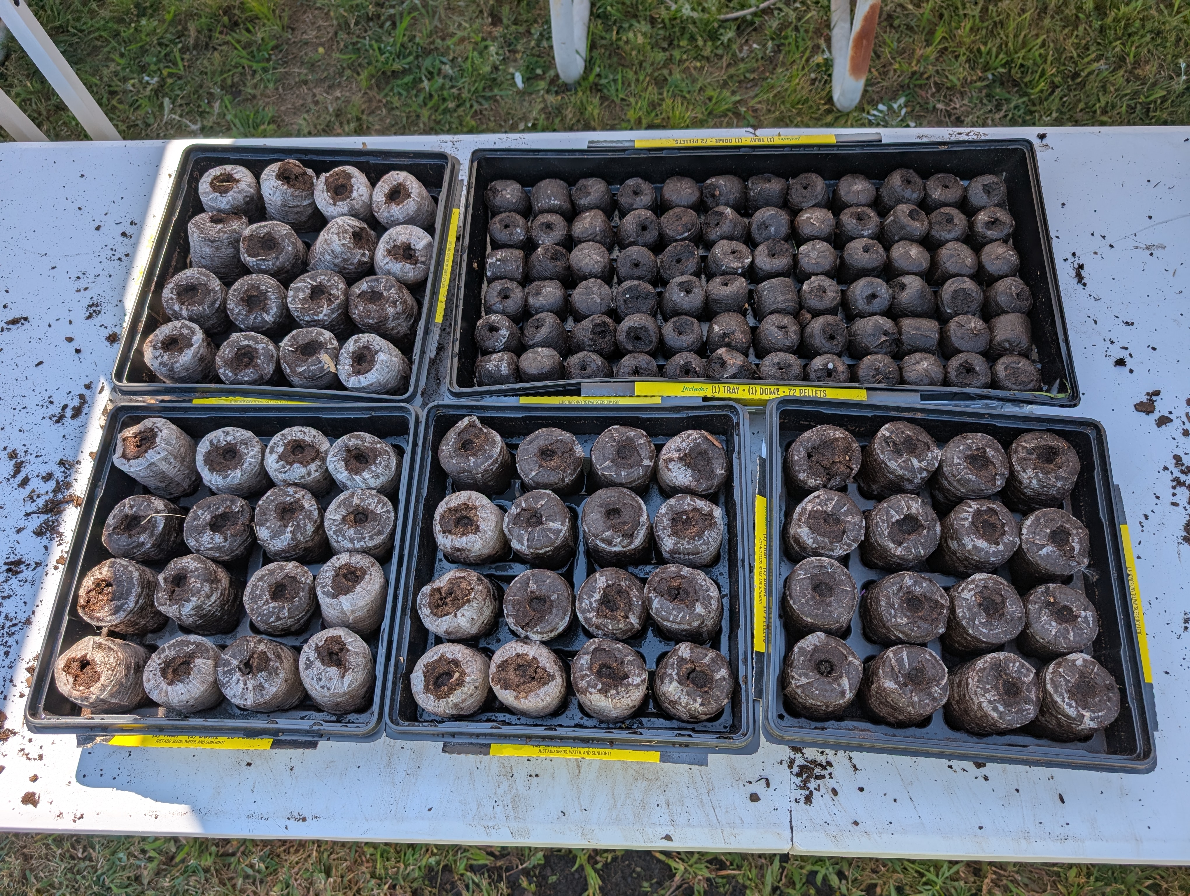 Seed starting_Photo by Amanda Bratcher